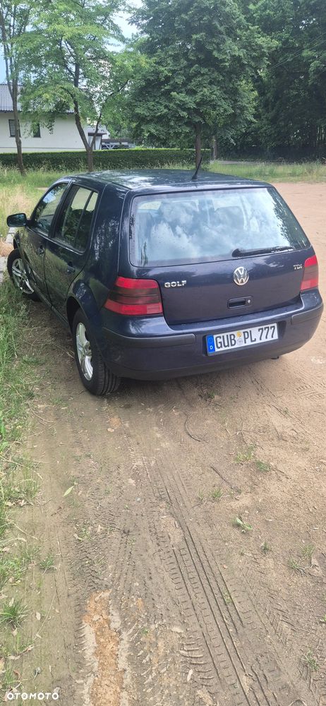 Volkswagen Golf - 8