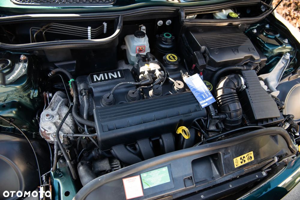 MINI Cooper chili - 29