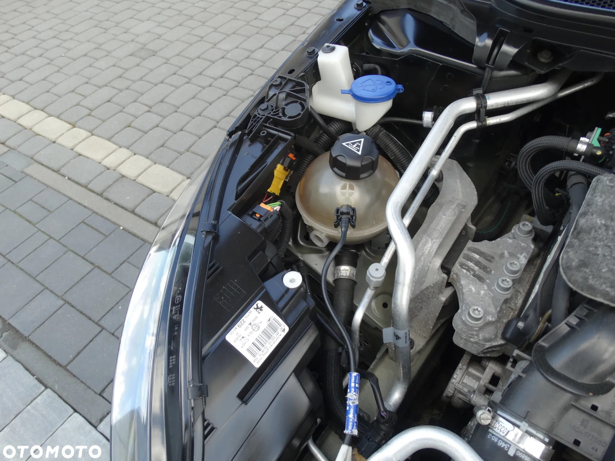 Peugeot 308 1.6 BlueHDi Business Line S&S - 35