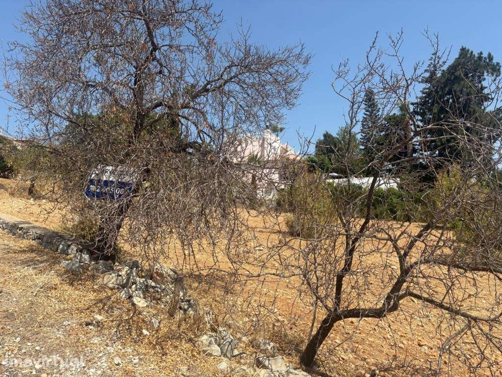 Terreno Rústico na Alfarrobeira, Loulé, Algarve - Grande imagem: 4/17