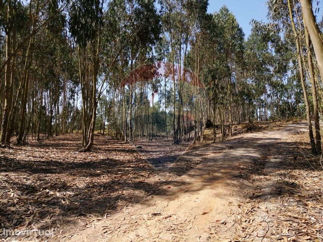 Terreno  para venda - Grande imagem: 3/9