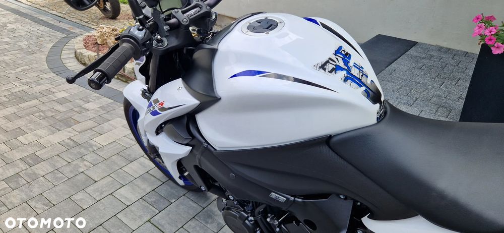 Suzuki GSX - 13