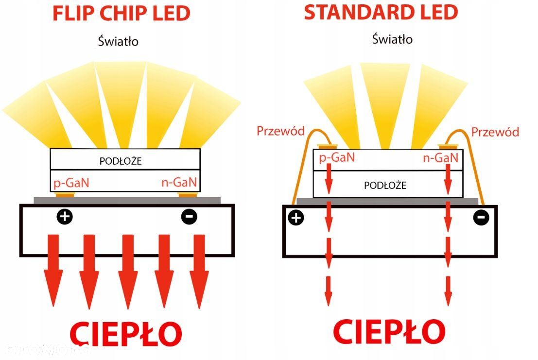 ŻARÓWKI H11 LED FLIP CHIP 6000K 12/24V CANBUS KPL - 4
