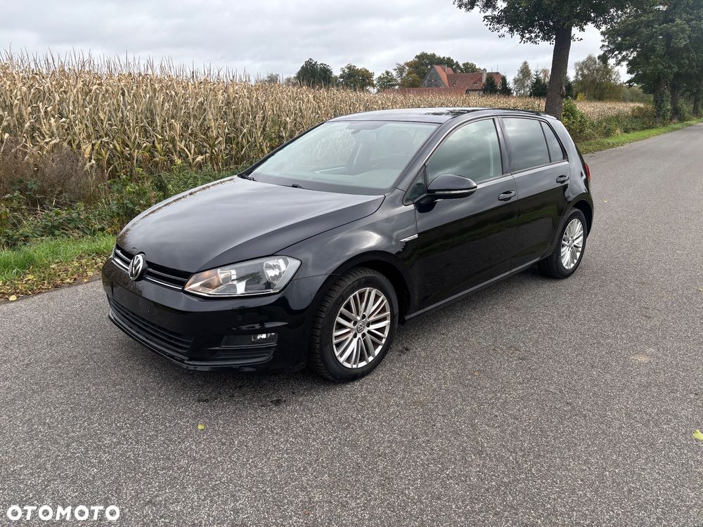 Volkswagen Golf VII 1.6 TDI BMT Trendline - 13