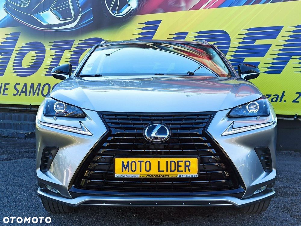 Lexus NX - 12