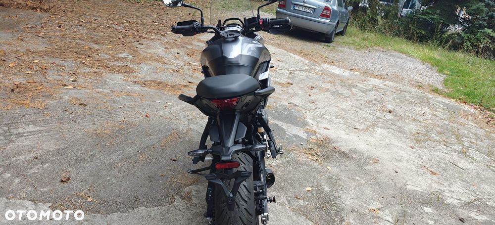 Triumph Tiger - 4