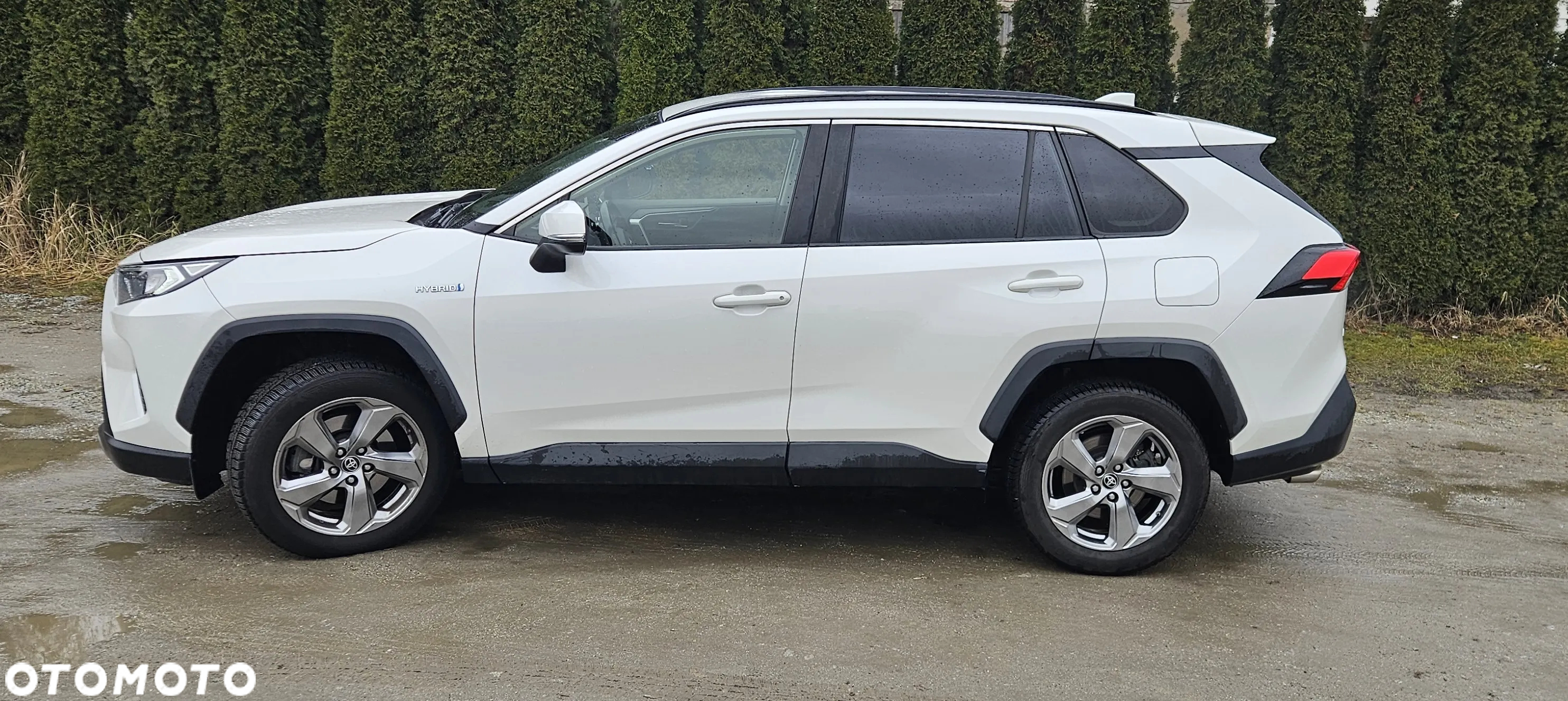 Toyota RAV4 2.5 Hybrid Comfort 4x2 - 4