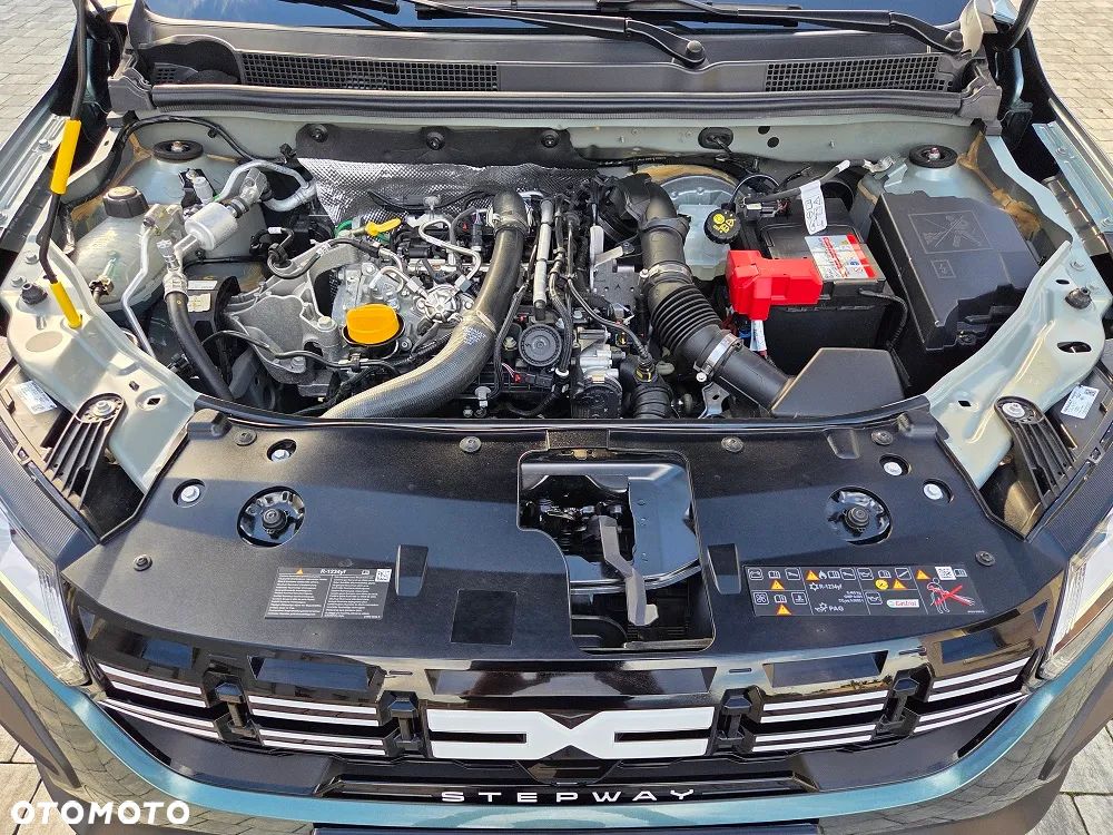 Dacia Sandero Stepway TCe 110 Extreme+ - 30