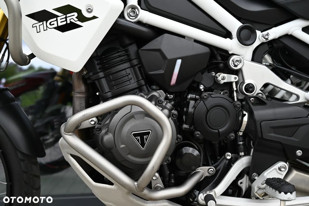 Triumph Tiger - 11