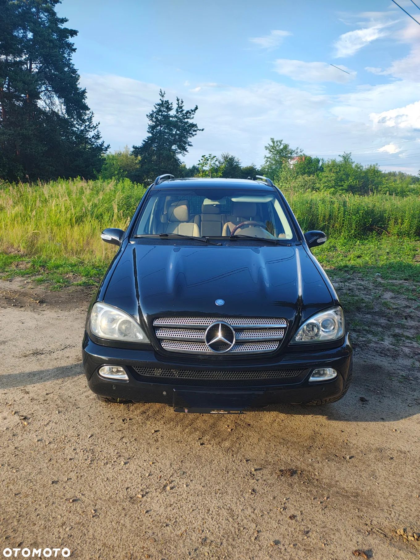Mercedes-Benz ML 270 CDI Final Edition - 1
