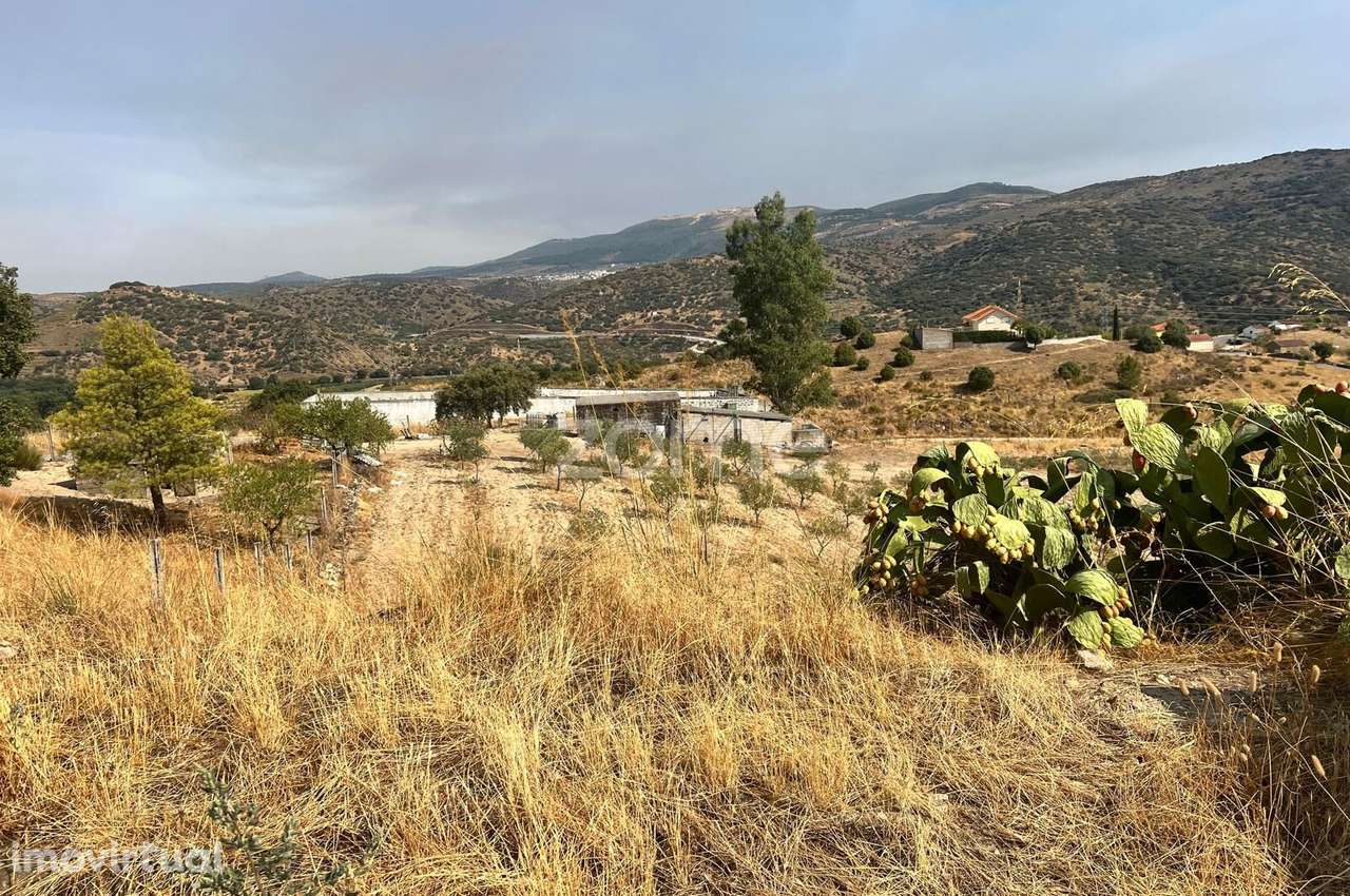Terreno Panorâmico 11.745 m² no Douro - em Trás-os-Montes - Grande imagem: 3/25