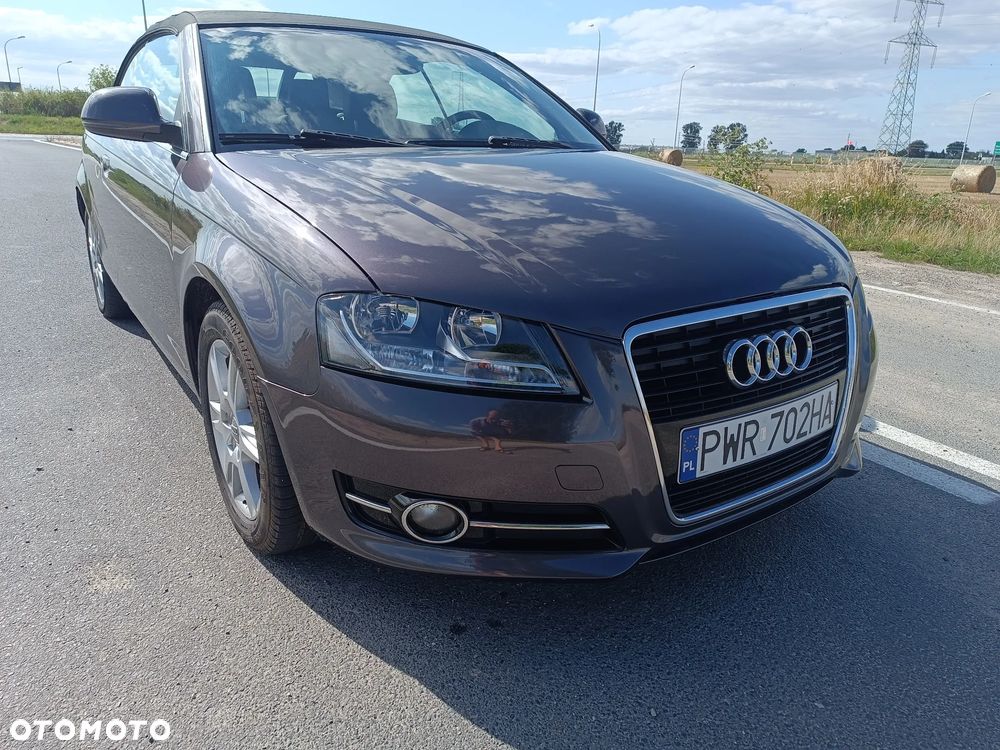 Audi A3 Cabrio 1.9 TDI DPF Ambition - 19