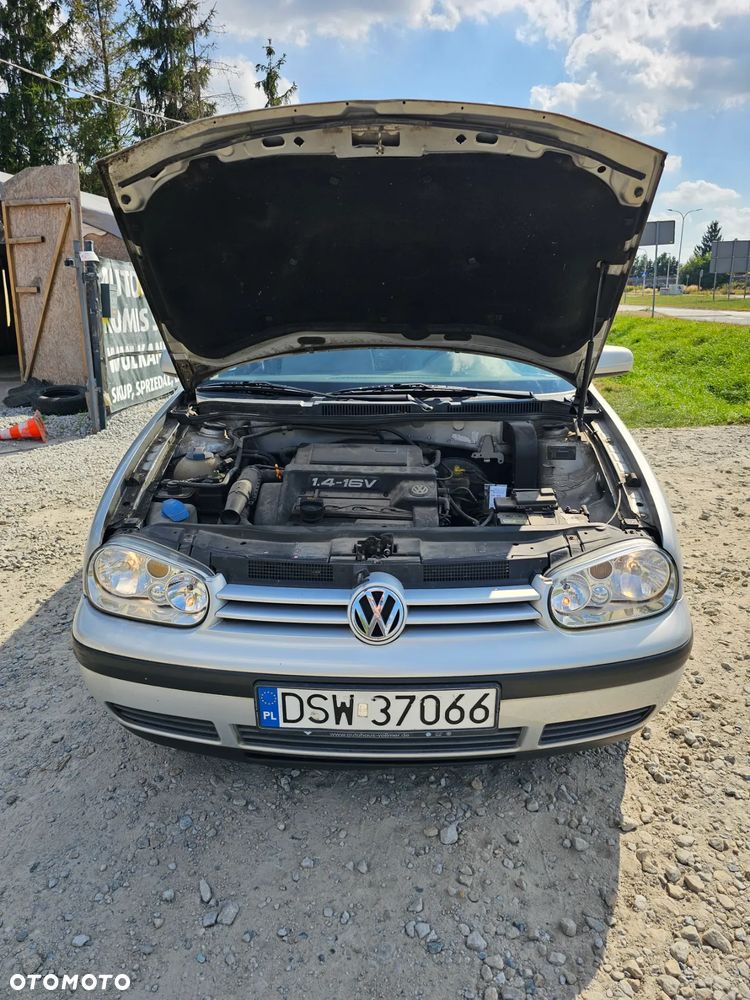 Volkswagen Golf IV 1.4 Basis - 18