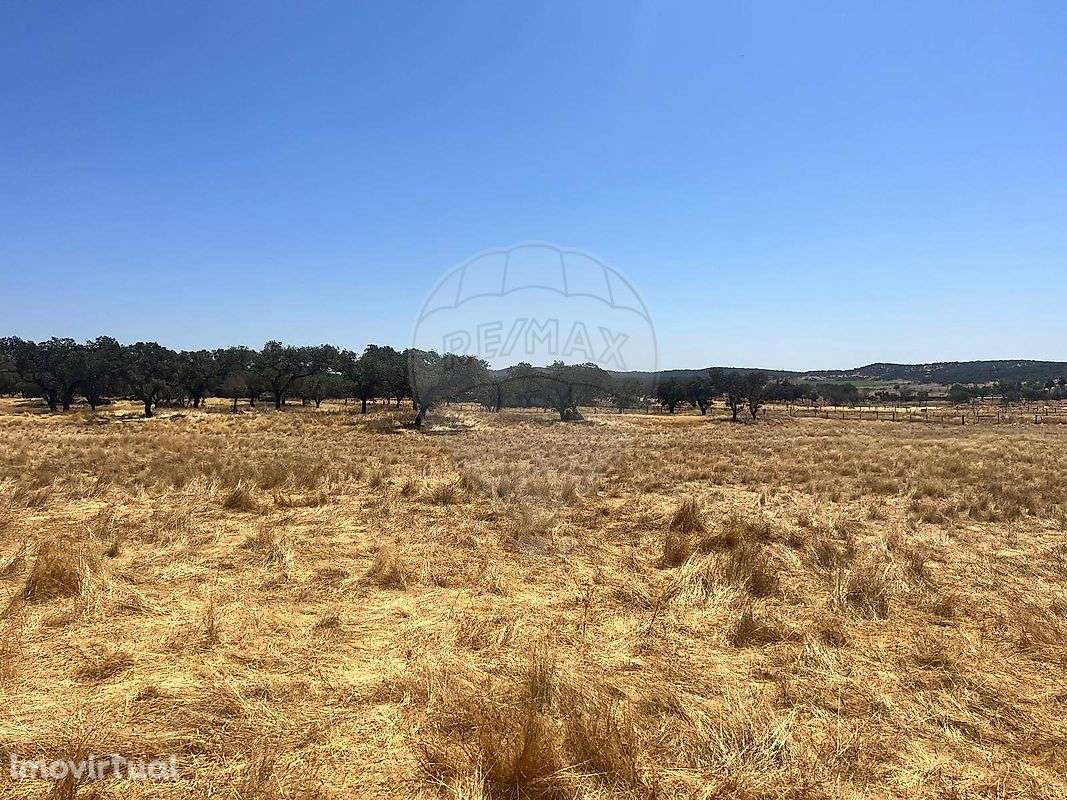 Quinta  para venda - Grande imagem: 3/15