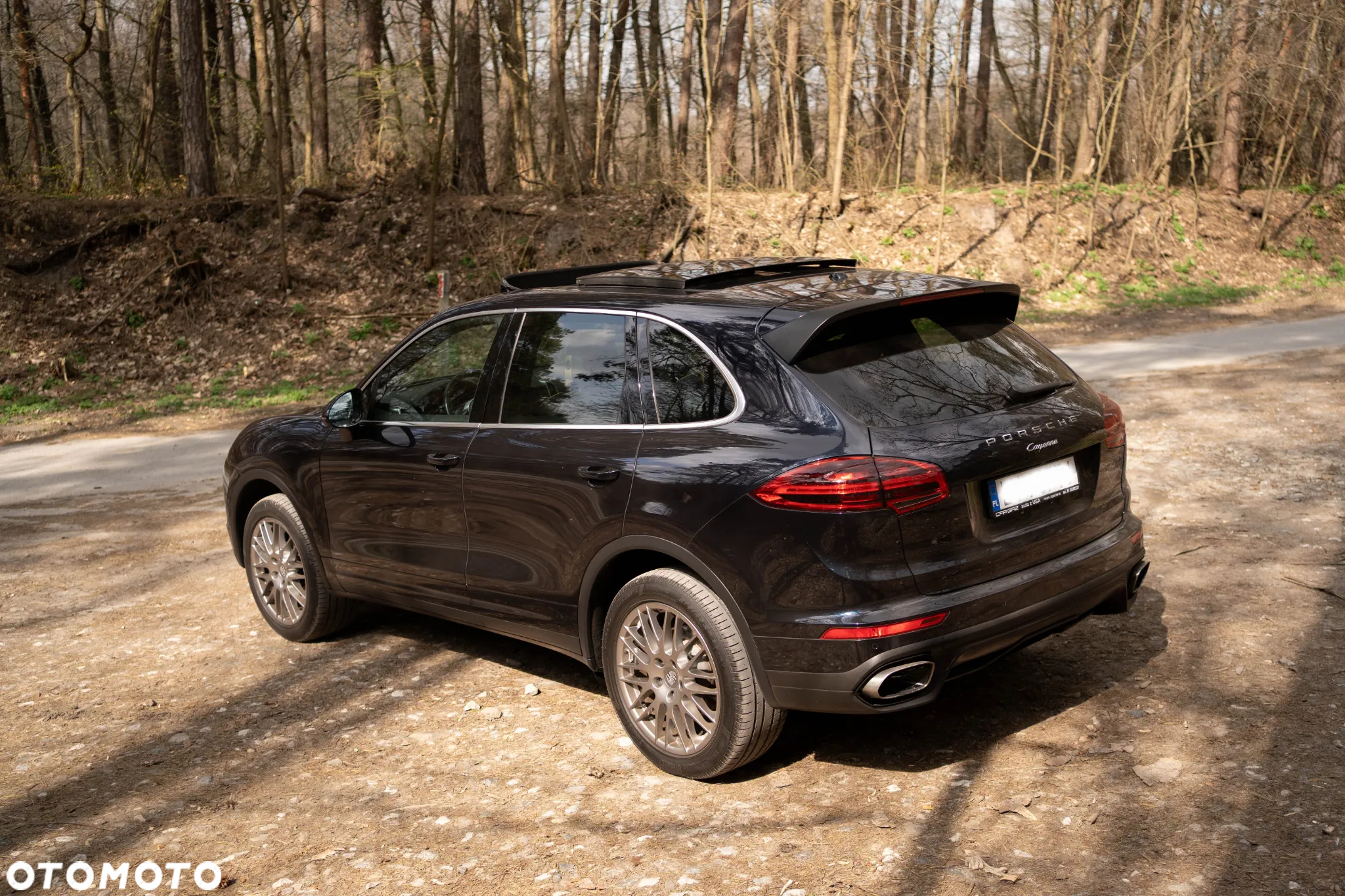 Porsche Cayenne Platinum Edition - 4