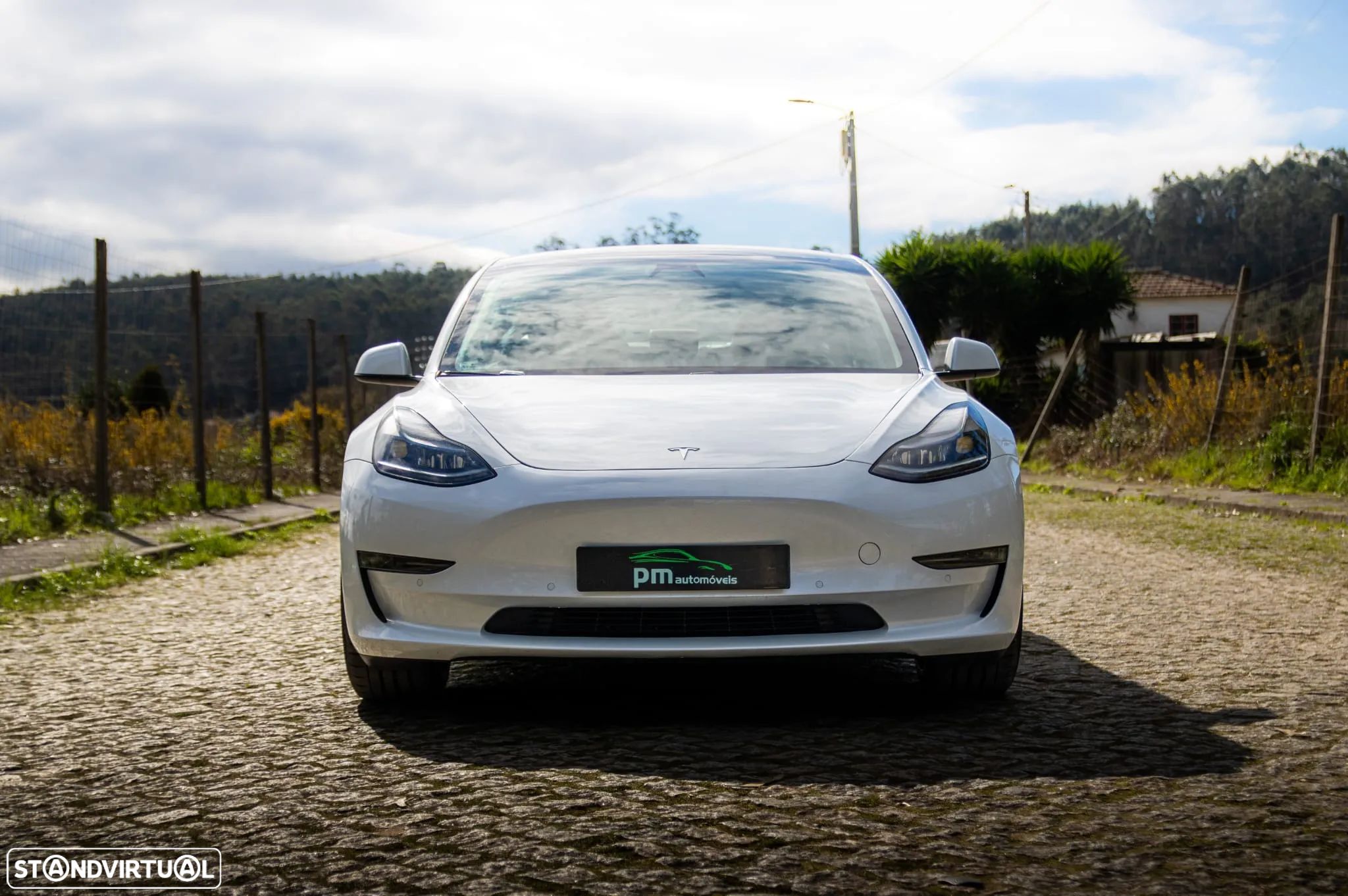 Tesla Model 3 Long Range AWD Dual Motor Performance - 1