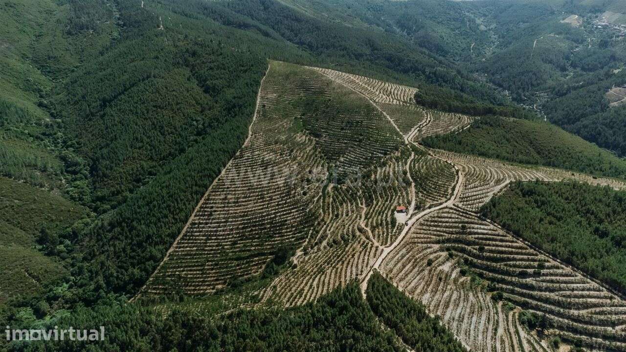 Terreno / Fundão, Castelejo - Grande imagem: 3/11