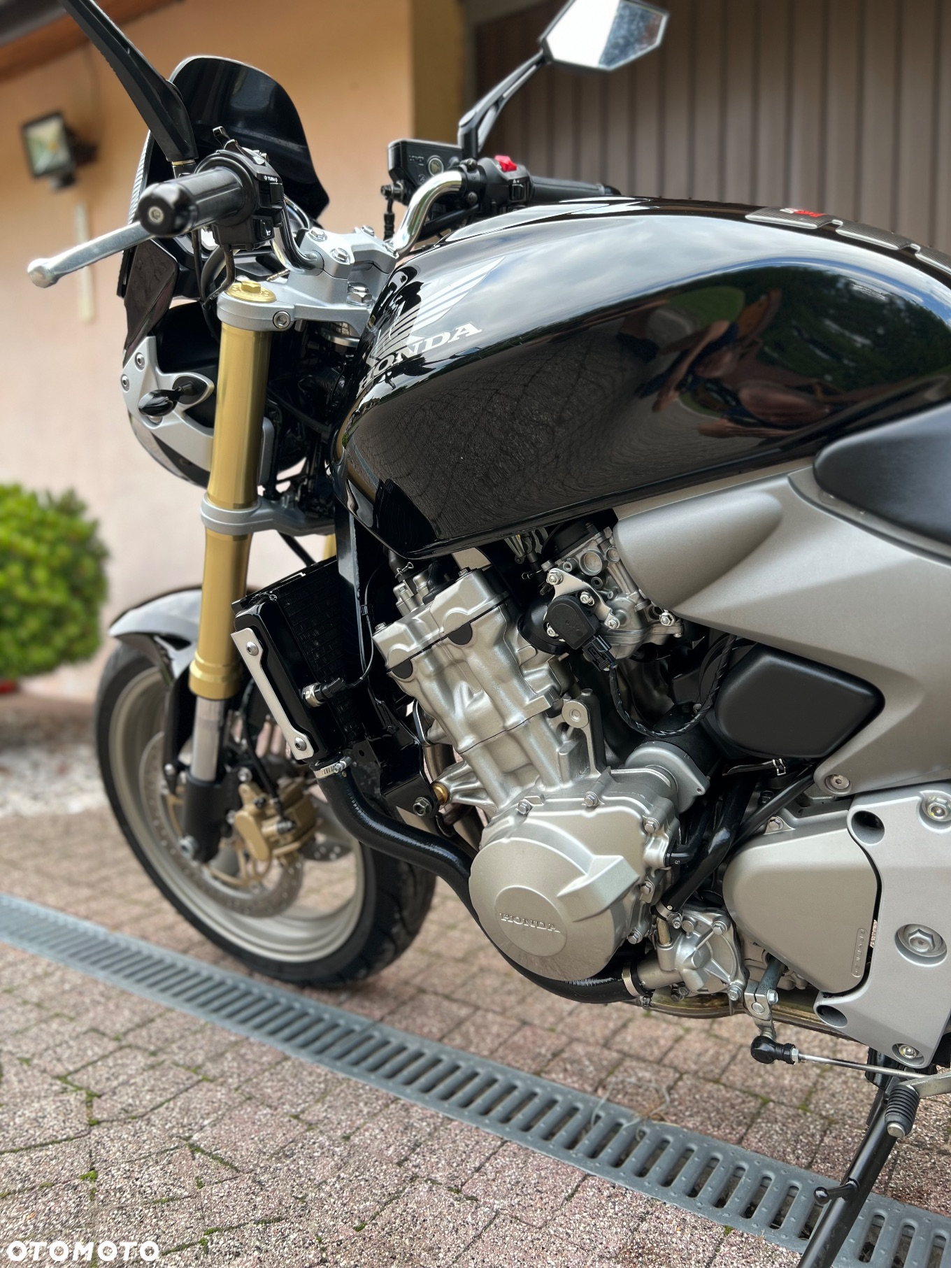 Honda Hornet - 7