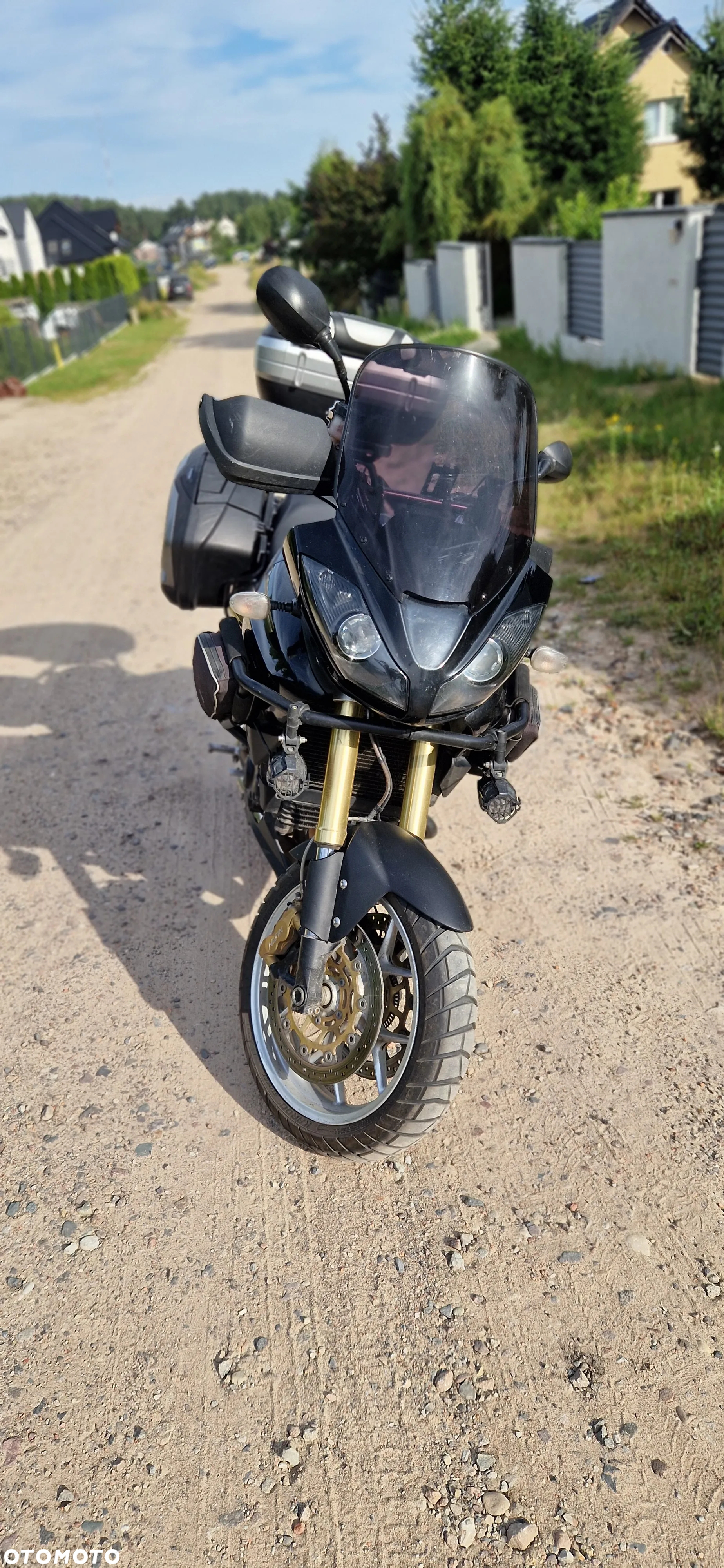 Triumph Tiger - 2