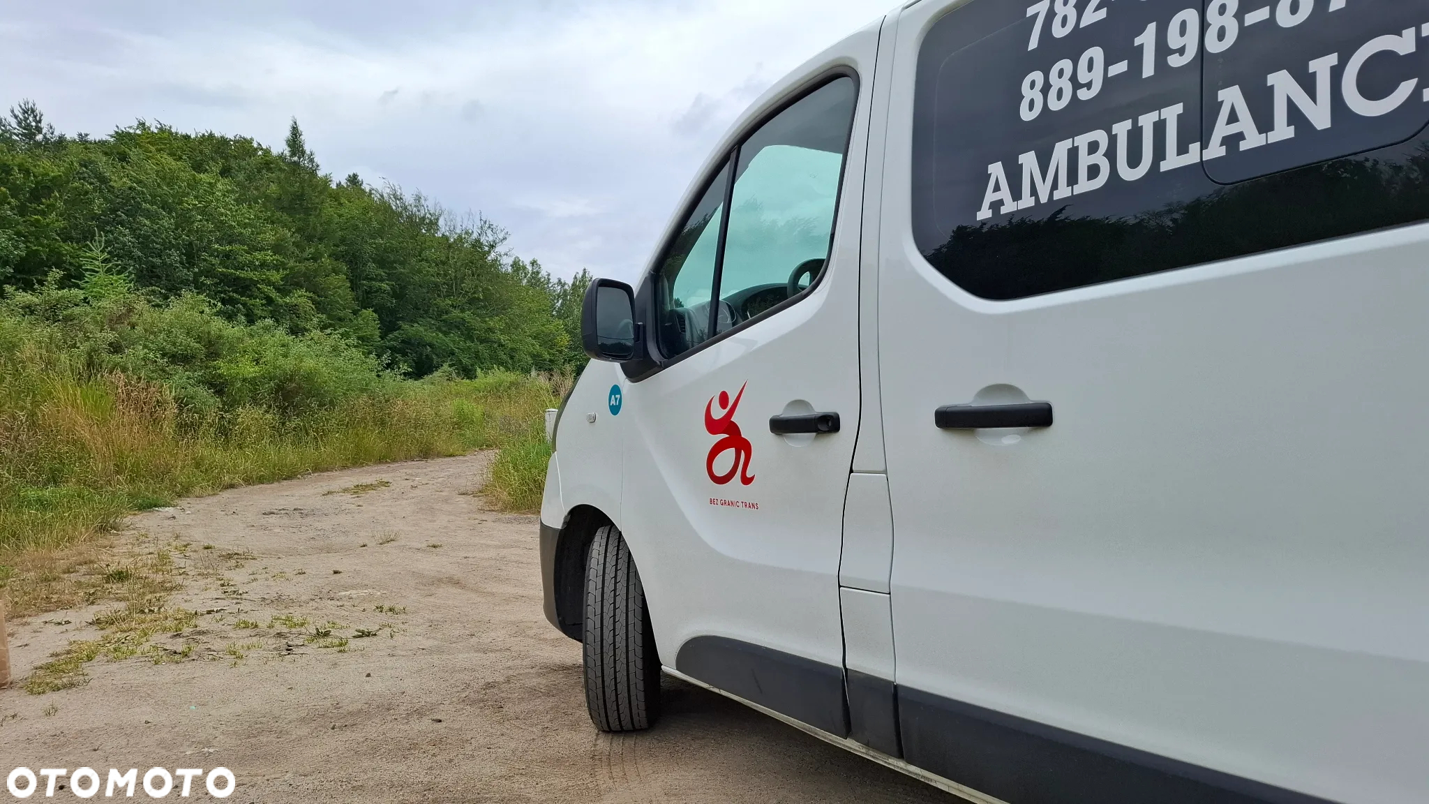 Renault Trafic - 10