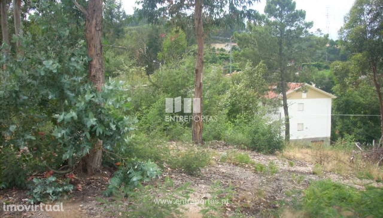 Venda Terreno, Avessadas, Marco de Canaveses - Grande imagem: 4/16