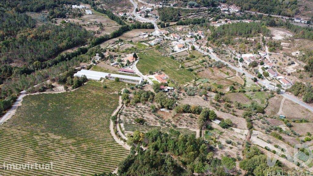 Terreno em Germil de 11374,00 m2 - Grande imagem: 3/5