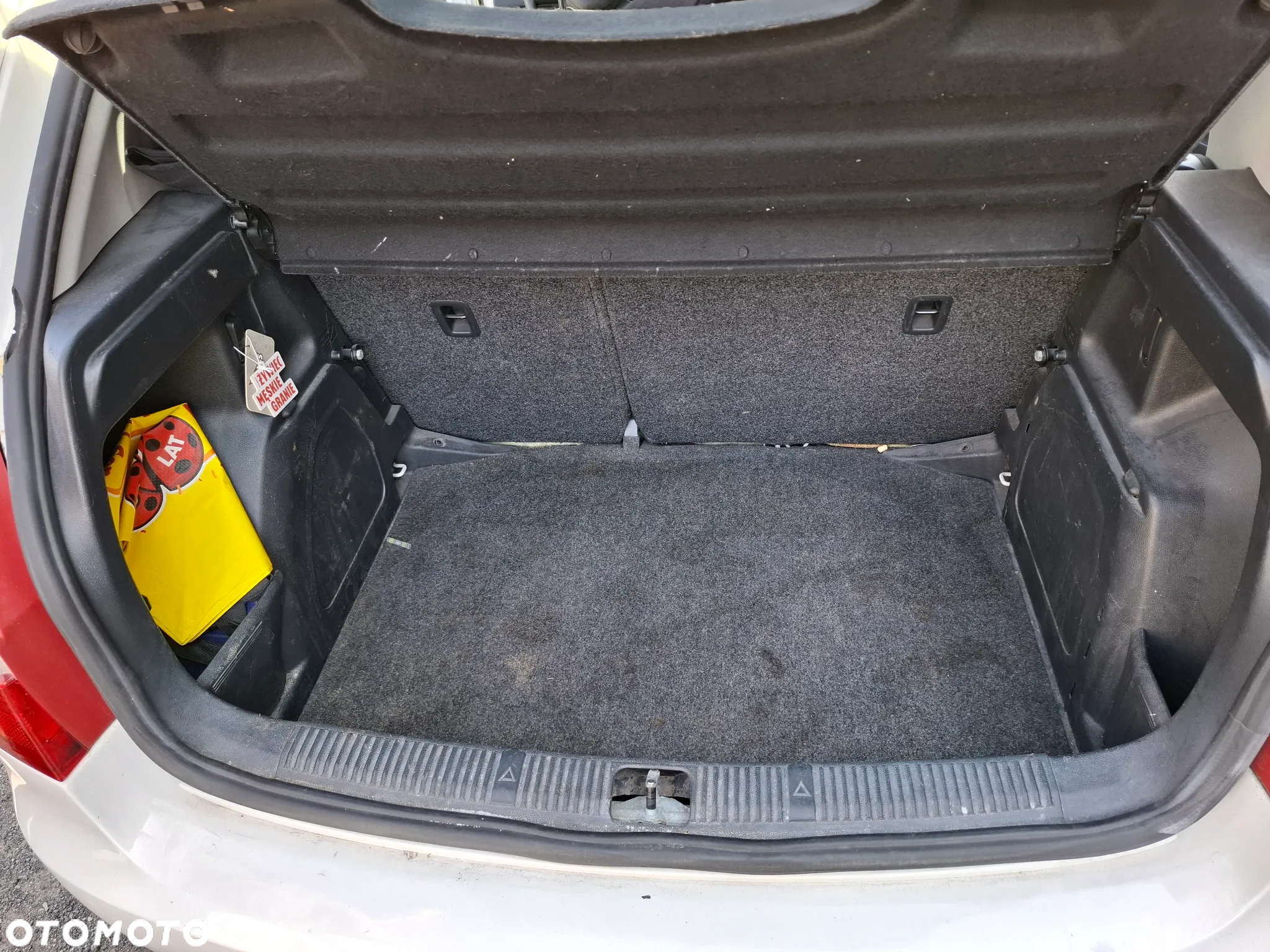 Skoda Fabia 1.6 TDI DPF Active - 10