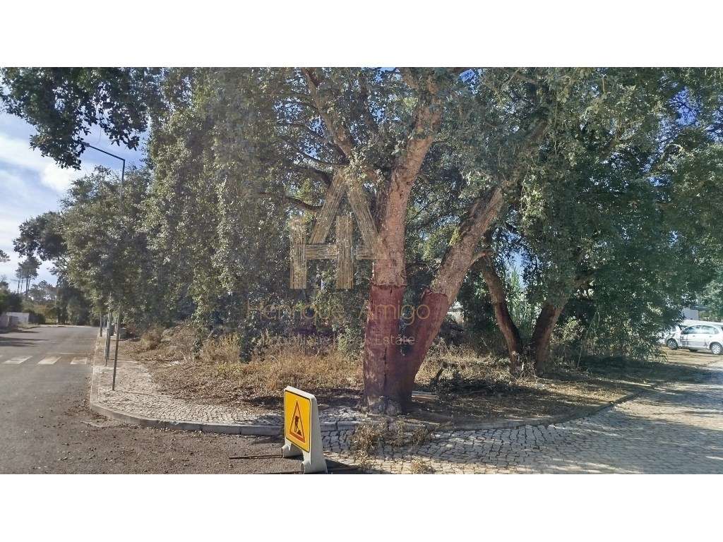 Excelente terreno em Sesimbra (Castelo) - Grande imagem: 4/11