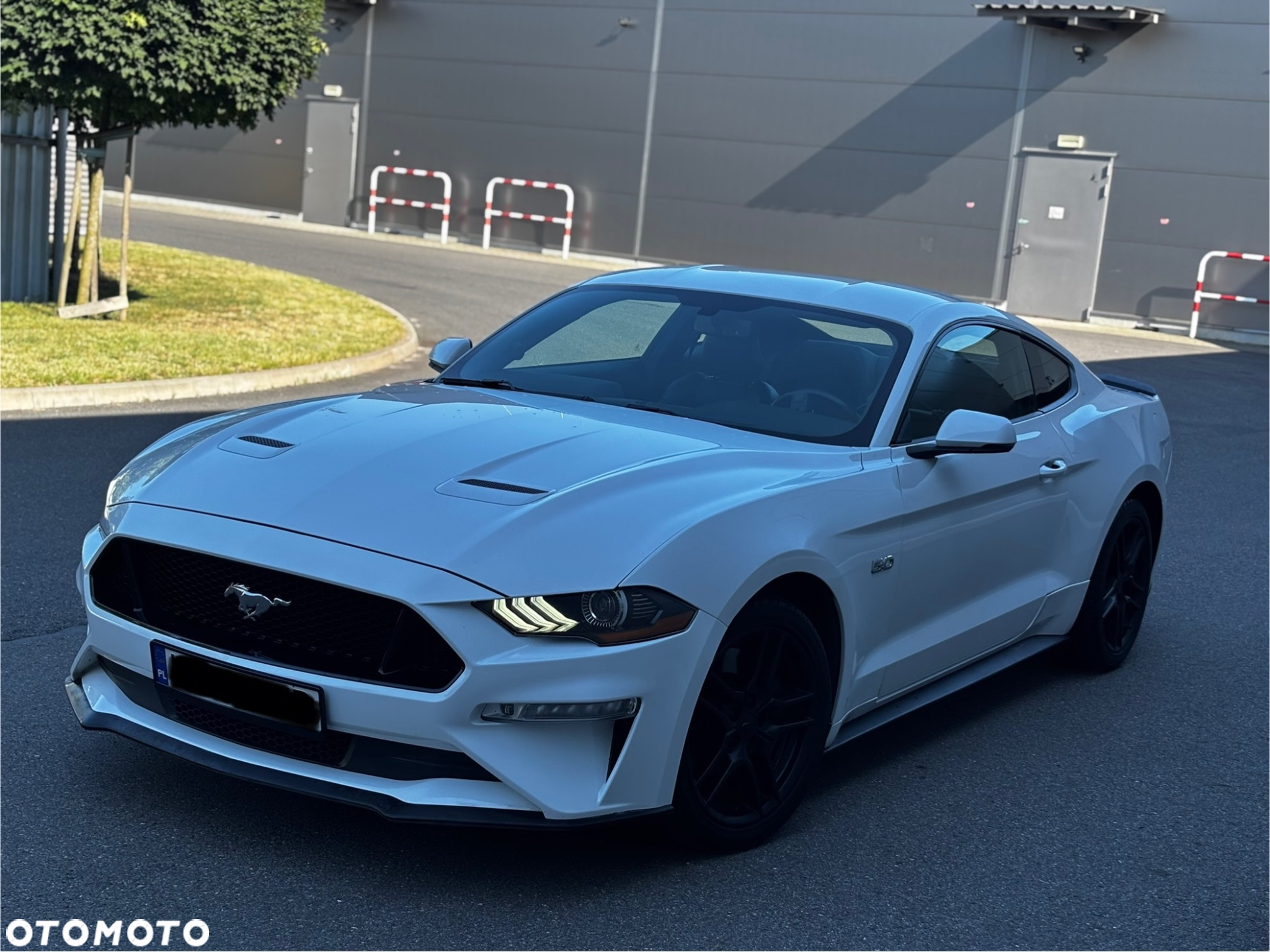 Ford Mustang Fastback 5.0 Ti-VCT V8 MACH1 - 5