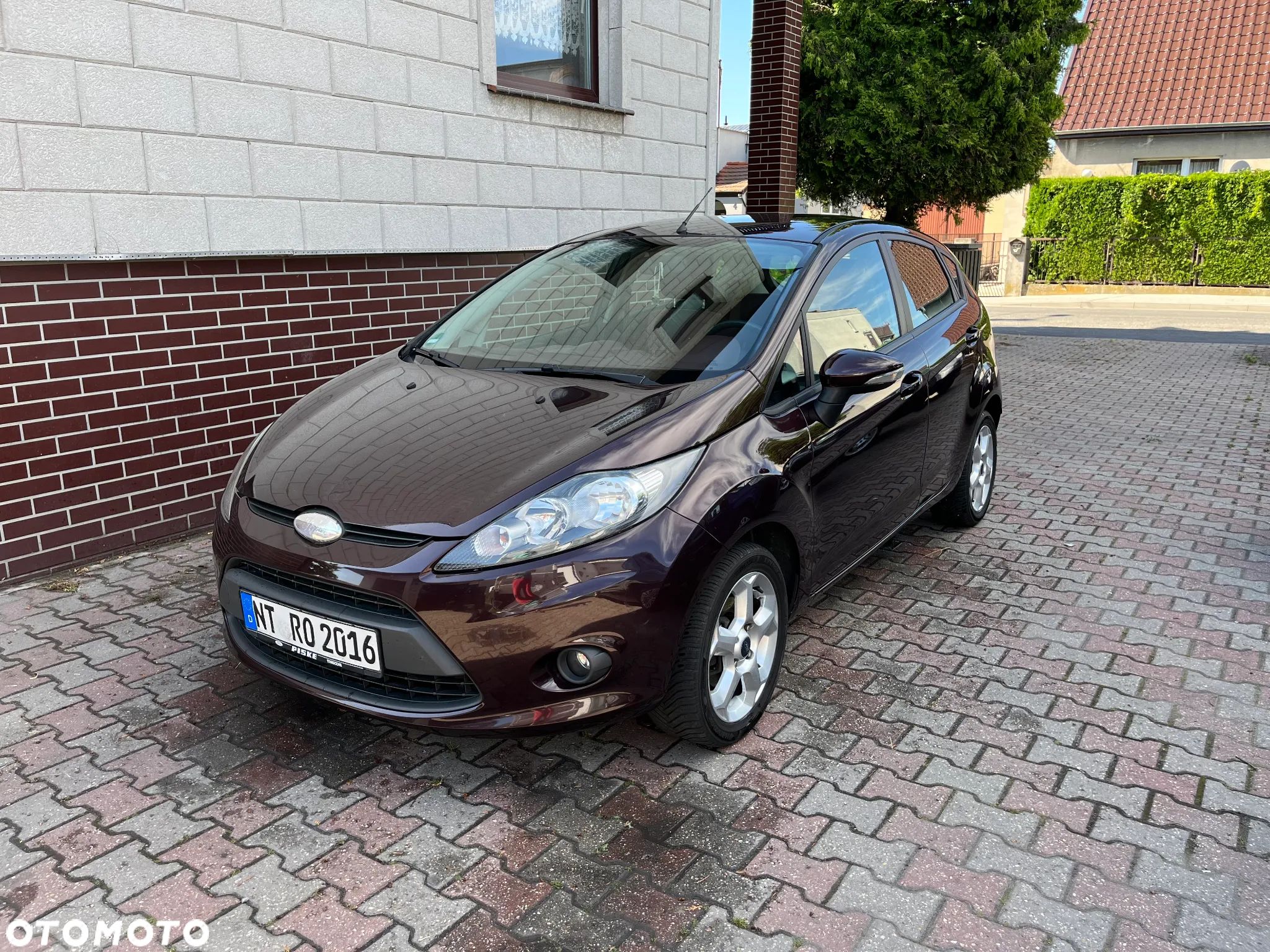 Ford Fiesta - 1