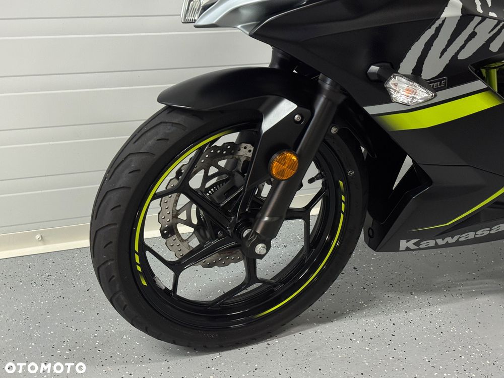 Kawasaki Ninja - 22