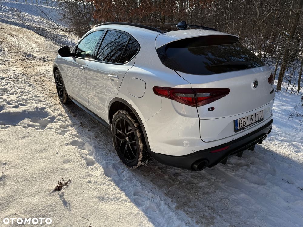 Alfa Romeo Stelvio 2.0 Turbo 16V AT8-Q4 Ti - 7