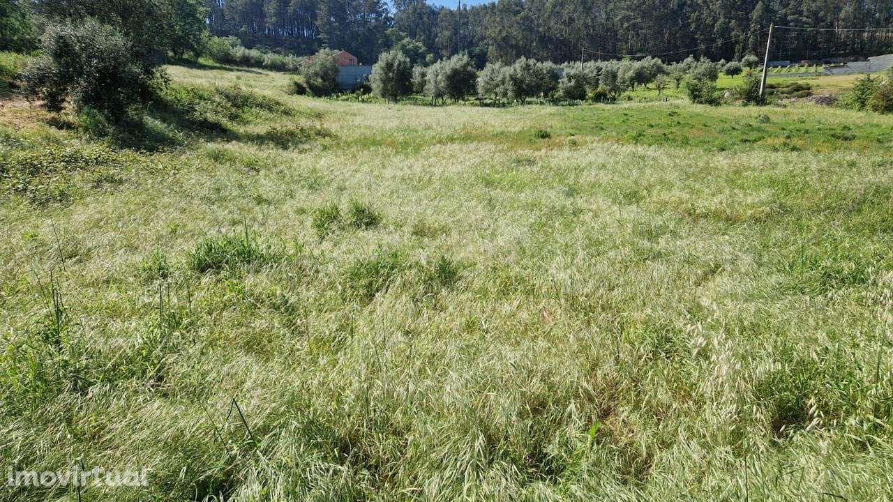 Terreno para construção á venda - Albergaria dos doze - Grande imagem: 5/20