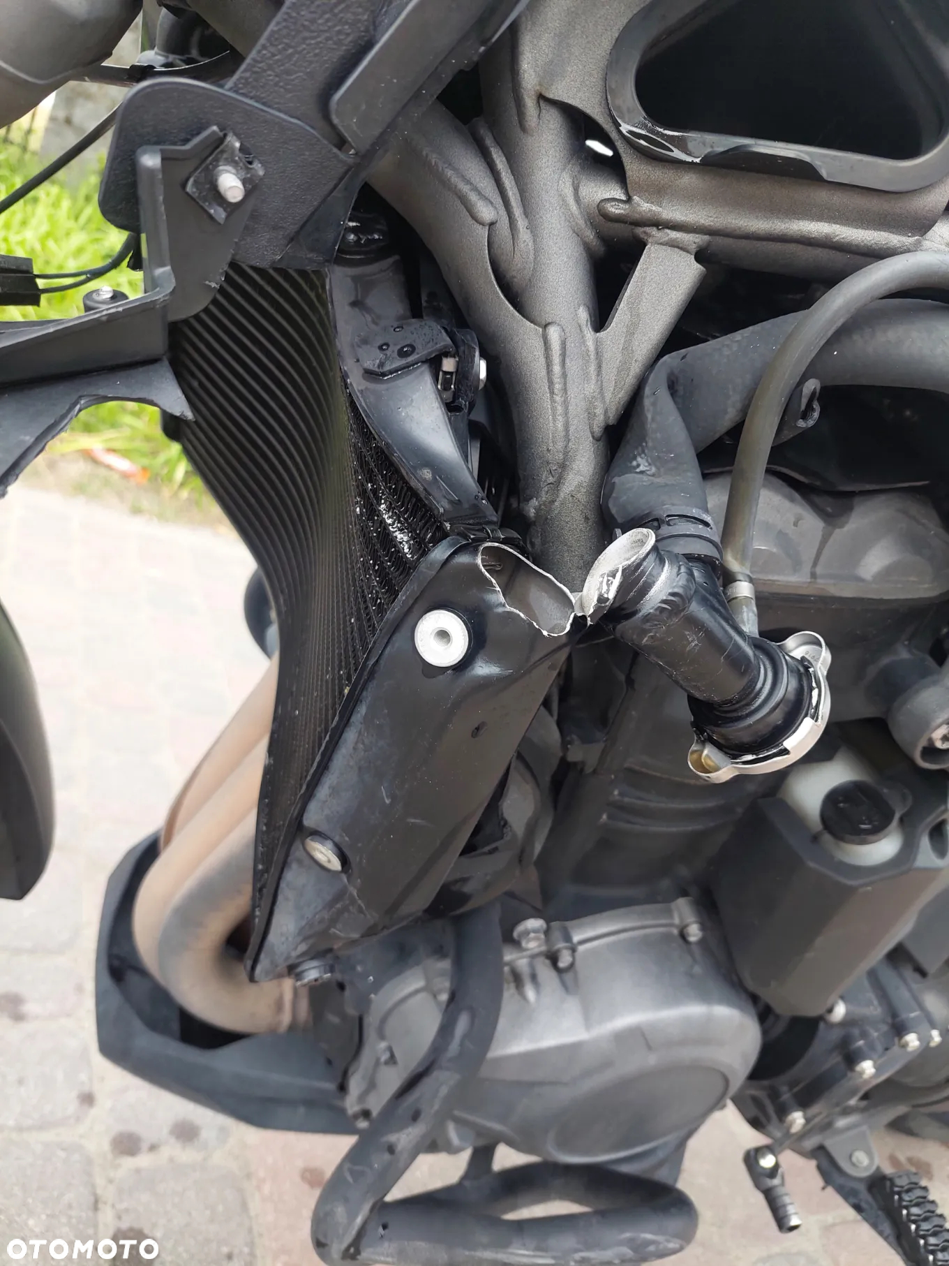 Triumph Tiger - 11