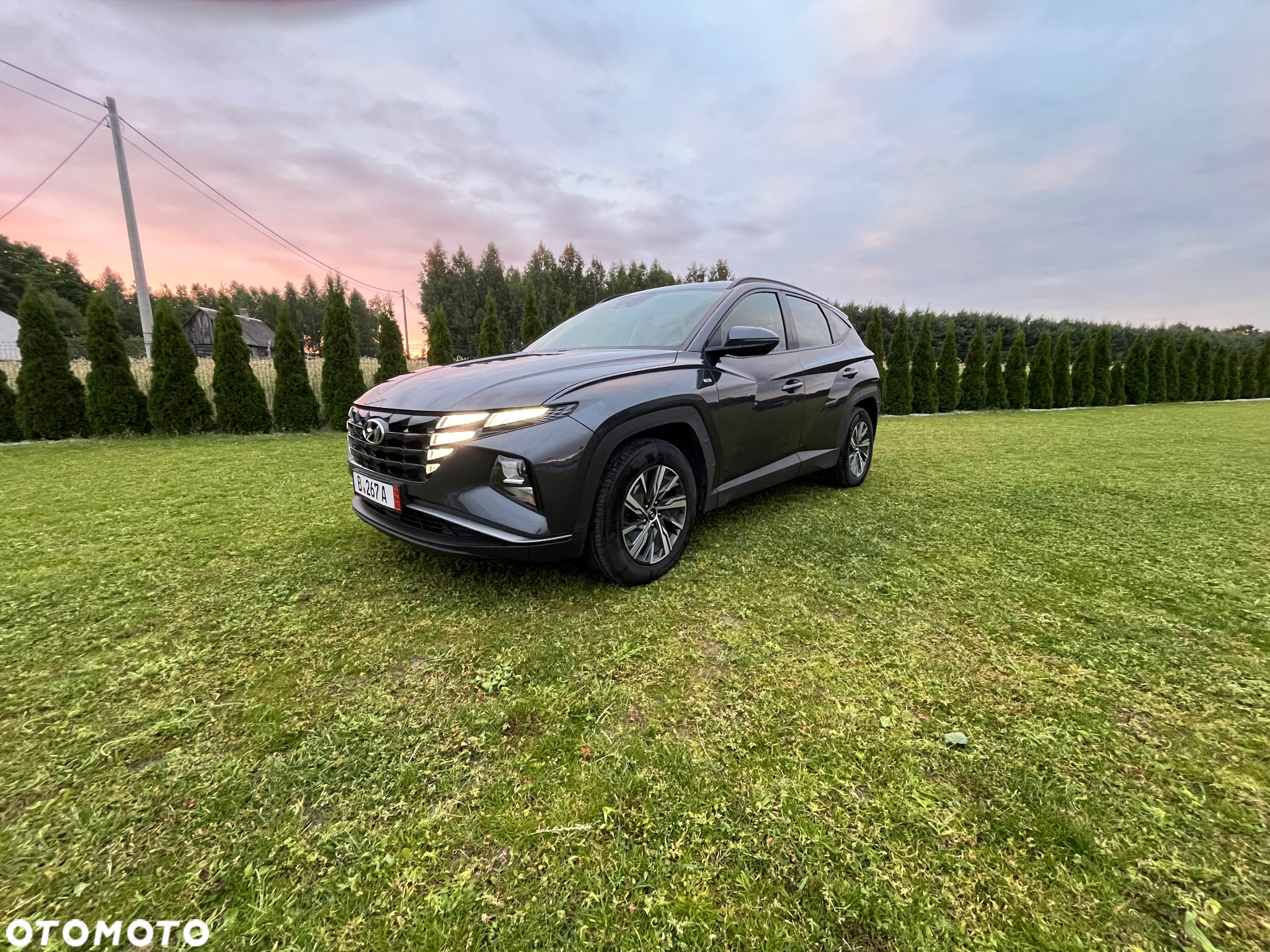 Hyundai Tucson 1.6 CRDi 48V-Hybrid 2WD DCT Select - 5