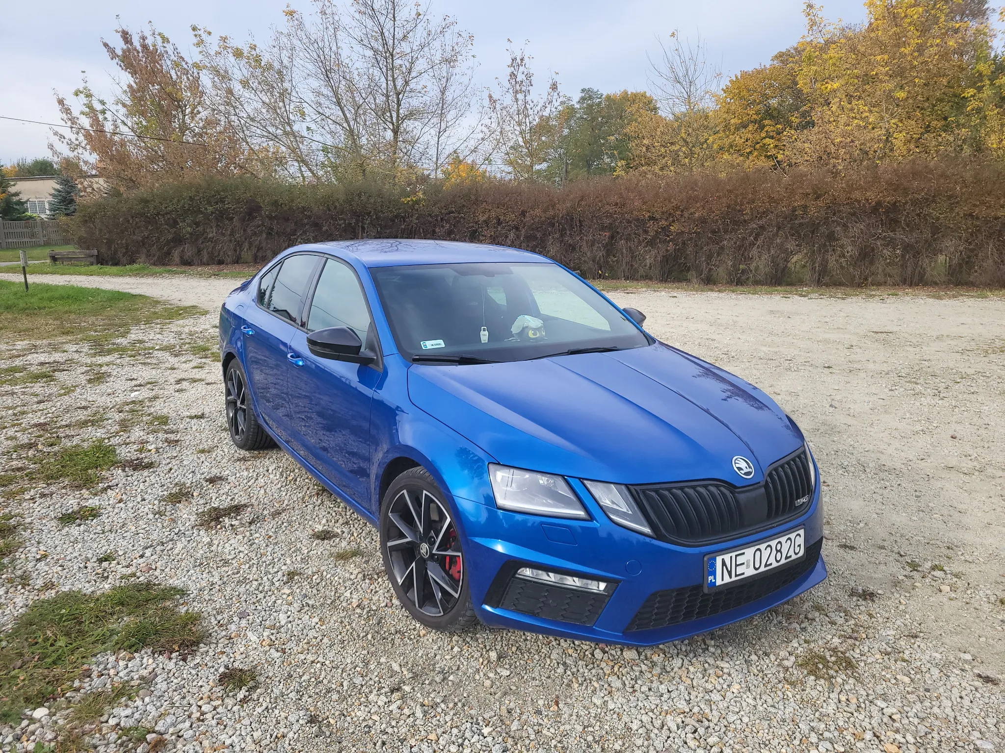 Skoda Octavia 2.0 TSI RS 245 DSG - 2