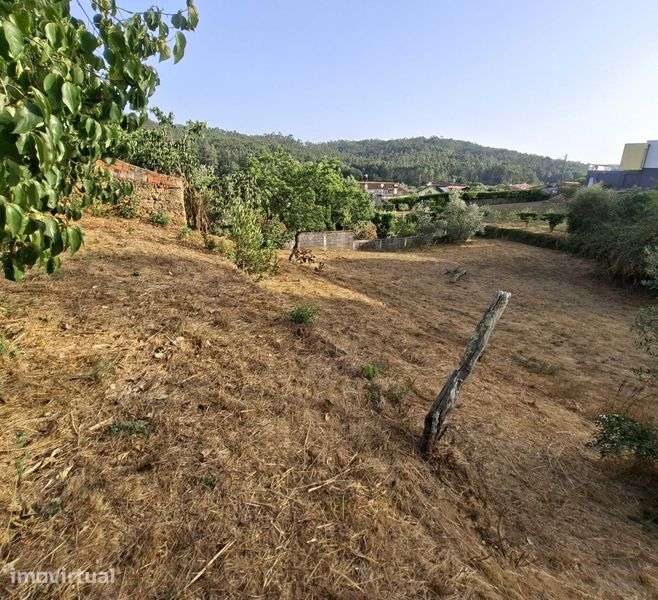 Vende-se terreno com 1250m2 e casa antiga em ruinas - Grande imagem: 5/11