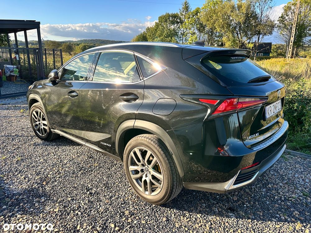 Lexus NX 300h Elegance Optimum AWD - 7