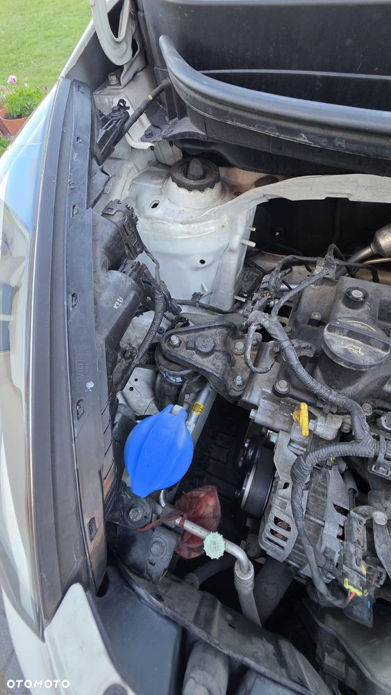 Kia Picanto 1.0 L - 7