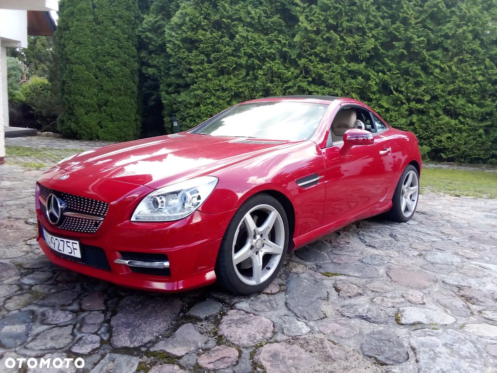 Mercedes-Benz SLK 250 (BlueEFFICIENCY) 7G-TRONIC - 1