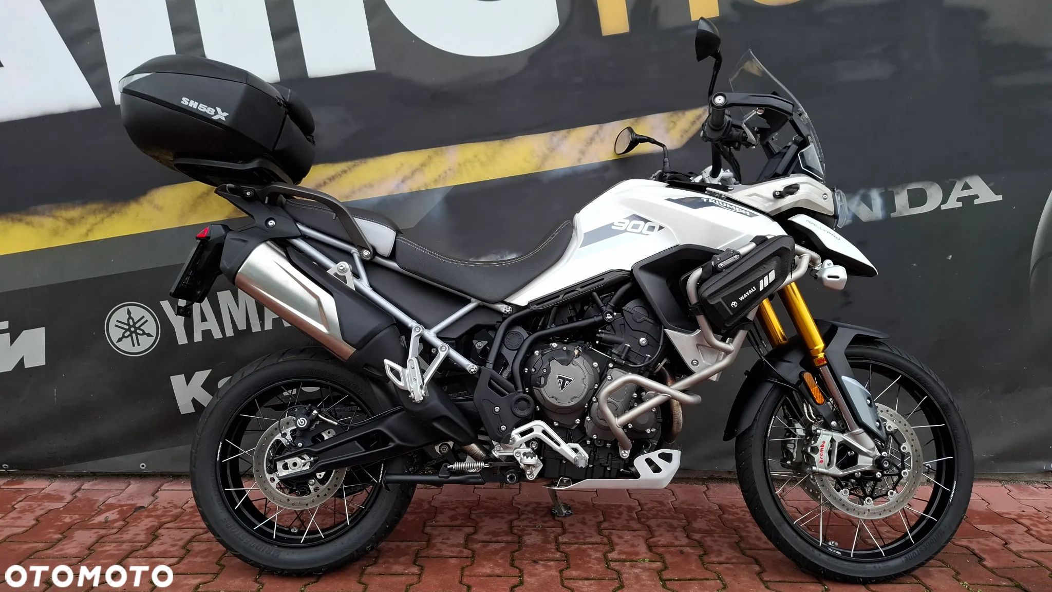Triumph Tiger - 1