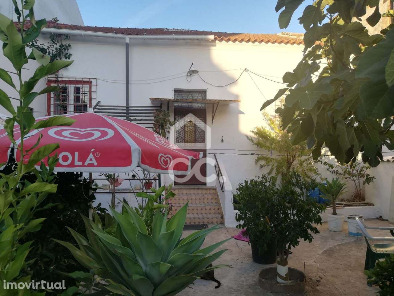 Moradia V3  com áreas bastante amplas, quintal com 310m2 possibilidade - Grande imagem: 3/31
