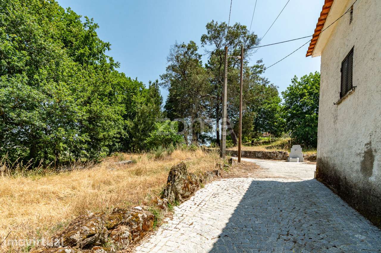 Terreno com Potencial Turístico na Região Demarcada do Dão - Grande imagem: 2/32