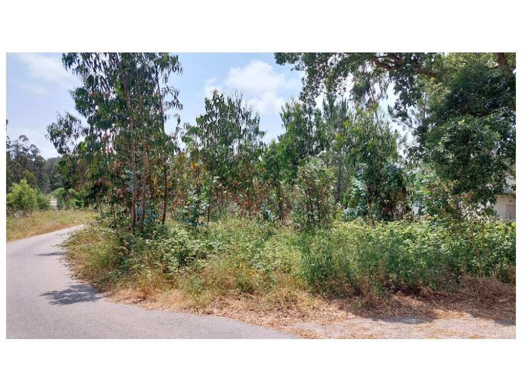 Terrenos para construção na vila de Monte Real - Grande imagem: 4/10