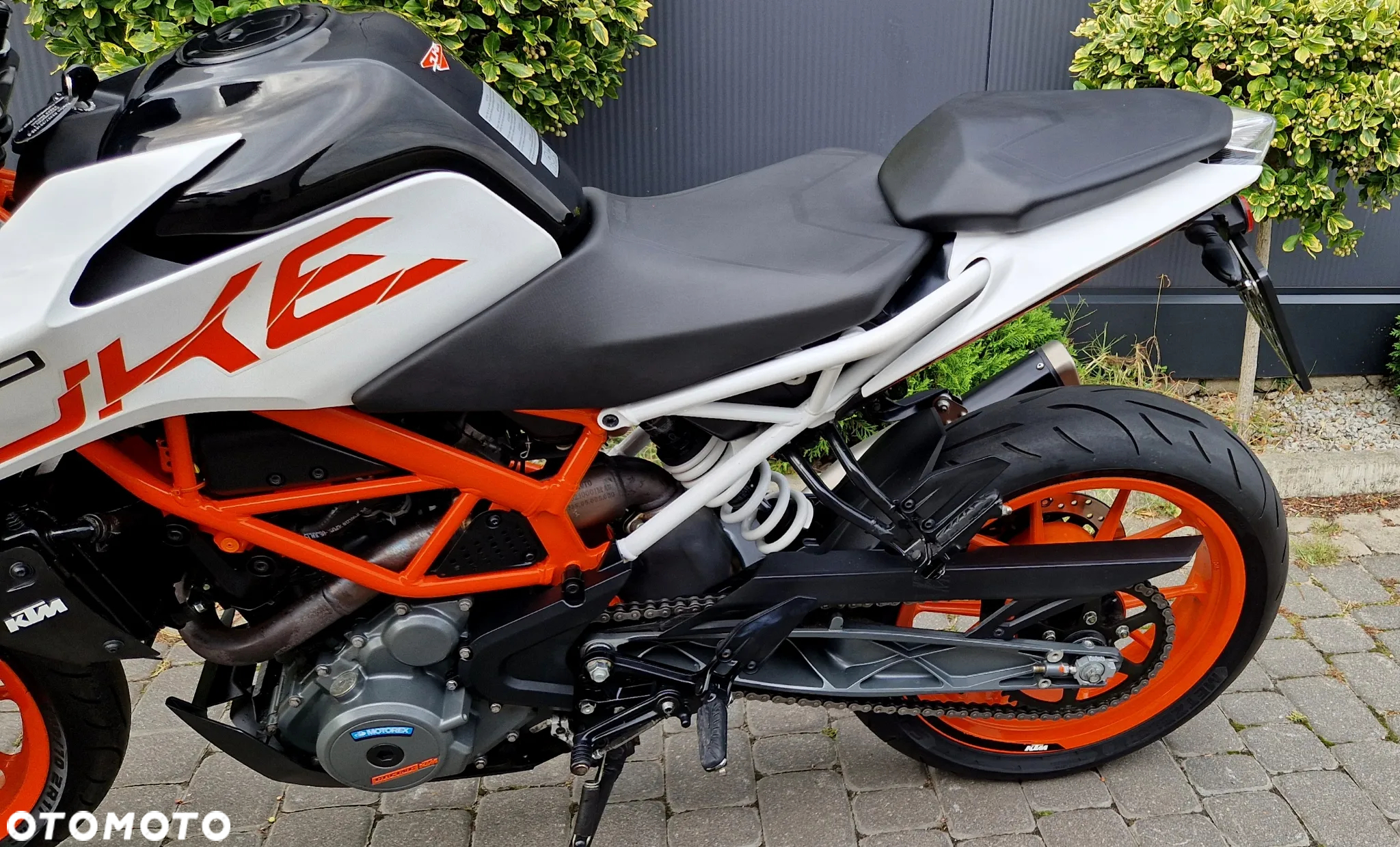 KTM Duke - 27