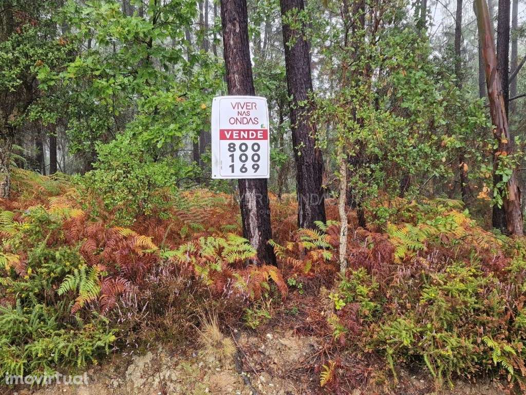 Terreno Rústico no Nesperal, Sertã. - Grande imagem: 2/7