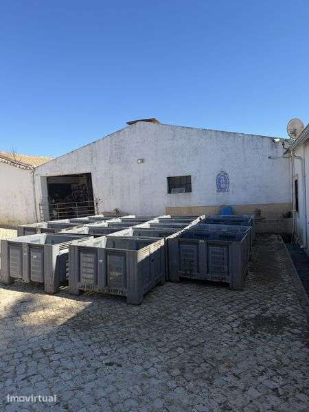 Quinta em Alenquer Arrendamento - Grande imagem: 2/12