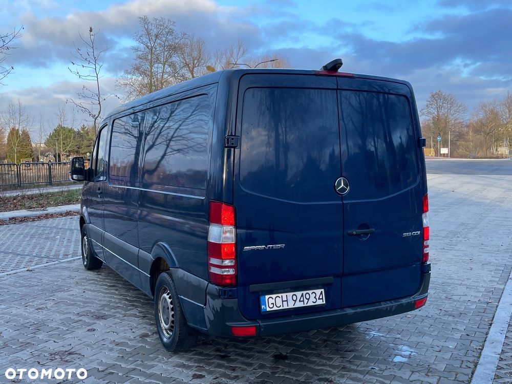 Mercedes-Benz Sprinter (BlueTec) 906.253 BlueEFFICIENCY - 9