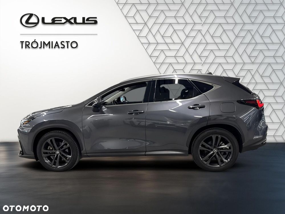Lexus NX - 10