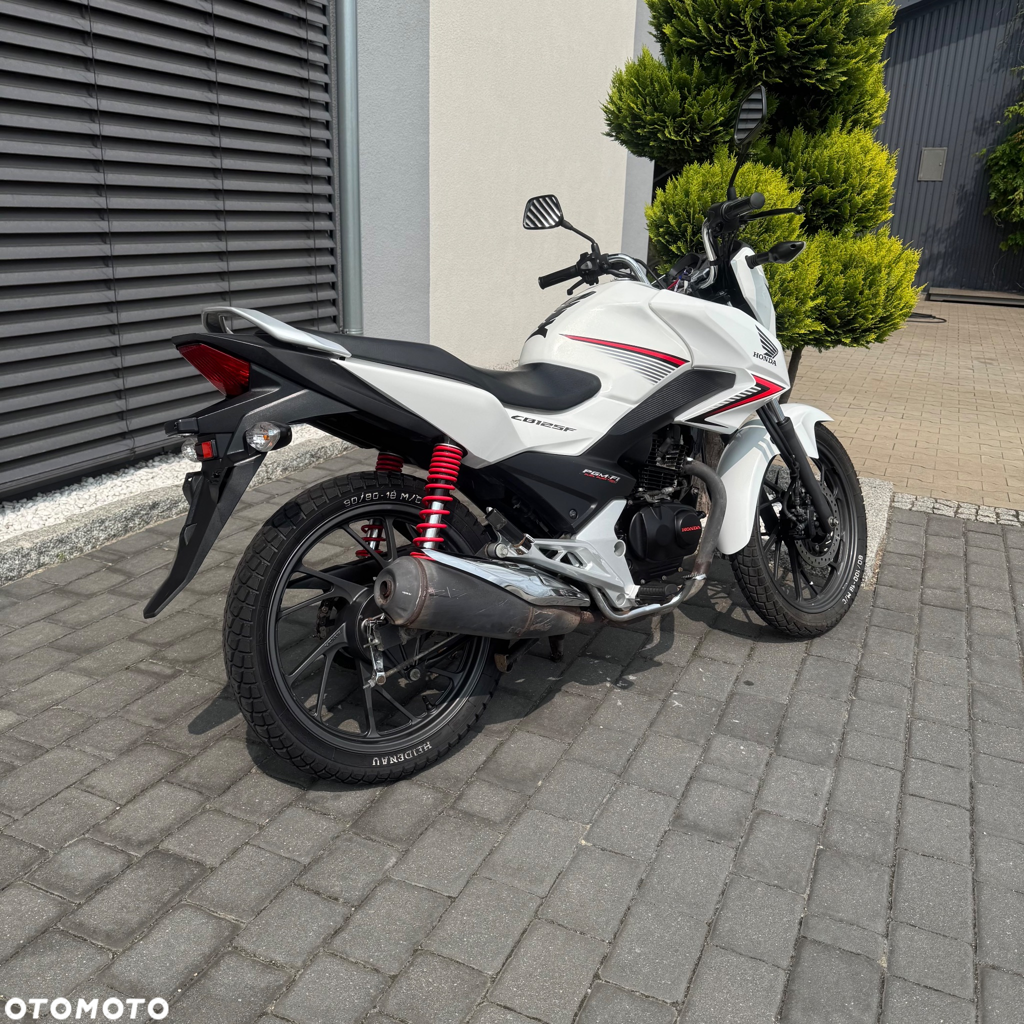Honda CBF - 3